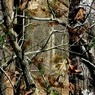 2164 - Camo Realtree® Camouflage Bandanna