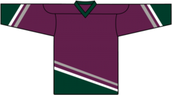 3754 - Anaheim Away Hockey Jersey