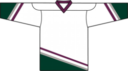 3719 - Anaheim Home Hockey Jersey